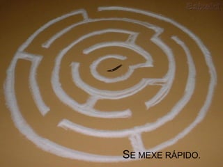 SE MEXE RÁPIDO.
 