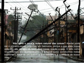 Não seria o caos a ordem natural das coisas? Aceitar pode
ser o primeiro passo para viver em harmonia, porque o que afeta nossa
vida não são de fato, os fatos, mas nossa reação a eles. O jeito como
respondemos aos acontecimentos e a forma como construímos nossa
trajetória a partir de um evento é que determina a qualidade de nossa
vida.
 