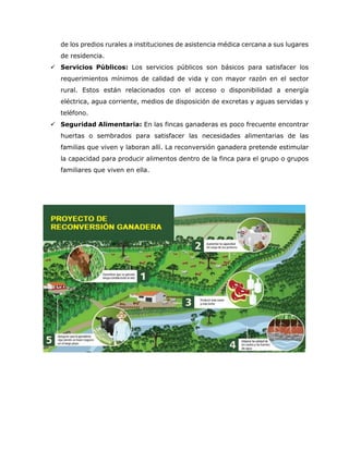 de los predios rurales a instituciones de asistencia médica cercana a sus lugares de residencia. 
 Servicios Públicos: Los servicios públicos son básicos para satisfacer los requerimientos mínimos de calidad de vida y con mayor razón en el sector rural. Estos están relacionados con el acceso o disponibilidad a energía eléctrica, agua corriente, medios de disposición de excretas y aguas servidas y teléfono. 
 Seguridad Alimentaria: En las fincas ganaderas es poco frecuente encontrar huertas o sembrados para satisfacer las necesidades alimentarias de las familias que viven y laboran allí. La reconversión ganadera pretende estimular la capacidad para producir alimentos dentro de la finca para el grupo o grupos familiares que viven en ella. 
 