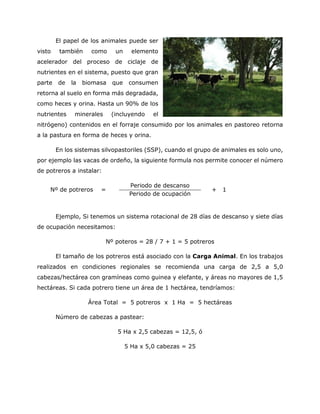 El papel de los animales puede ser visto también como un elemento acelerador del proceso de ciclaje de nutrientes en el sistema, puesto que gran parte de la biomasa que consumen retorna al suelo en forma más degradada, como heces y orina. Hasta un 90% de los nutrientes minerales (incluyendo el nitrógeno) contenidos en el forraje consumido por los animales en pastoreo retorna a la pastura en forma de heces y orina. 
En los sistemas silvopastoriles (SSP), cuando el grupo de animales es solo uno, por ejemplo las vacas de ordeño, la siguiente formula nos permite conocer el número de potreros a instalar: 
Nº de potreros = 
Periodo de descanso 
+ 1 
Periodo de ocupación 
Ejemplo, Si tenemos un sistema rotacional de 28 días de descanso y siete días de ocupación necesitamos: 
Nº poteros = 28 / 7 + 1 = 5 potreros 
El tamaño de los potreros está asociado con la Carga Animal. En los trabajos realizados en condiciones regionales se recomienda una carga de 2,5 a 5,0 cabezas/hectárea con gramíneas como guinea y elefante, y áreas no mayores de 1,5 hectáreas. Si cada potrero tiene un área de 1 hectárea, tendríamos: 
Área Total = 5 potreros x 1 Ha = 5 hectáreas 
Número de cabezas a pastear: 
5 Ha x 2,5 cabezas = 12,5, ó 
5 Ha x 5,0 cabezas = 25 
 