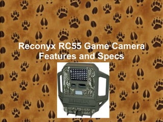 Reconyx RC55 Game Camera
    Features and Specs
 