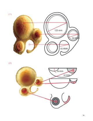 56
55 mm
125 mm
54 mm
26 mm
42 mm
( 1 )
( 2 )
 