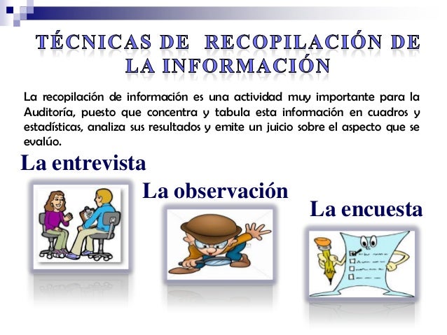 Recopilacion de la informacion organizacional