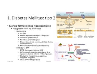 1. Diabetes Mellitus: tipo 2
• Manejo farmacológico hipoglicemiante
• Hipoglicemiantes no insulínicos
• Metformina
• 1ra línea
• Reduce la producción hepática de glucosa
• Disminuye glicemia basal
• No induce ganancia d epeso
• Efectos secundarios: nauseas, vómitos, diarrea,
dolor abdominal
• Monitoreo de niveles B12 (malabsorción)
• Inhibidores DPP-4
• DPP4, disminuye niveles de GLP1
• GLP1 reduce la glicemia, dependiente de la
ingesta de glucosa. Además inhibe al glucagón
• Sitagliptina, vildagliptina, saxagliptina,
liagliptina, alogliptina.
• Inhibe DPP4 >80% por 16hrs
27-06-2019 ngigouxa 28
 