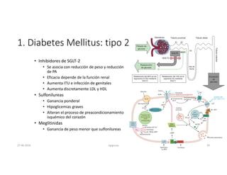1. Diabetes Mellitus: tipo 2
• Inhibidores de SGLT-2
• Se asocia con reducción de peso y reducción
de PA
• Eficacia depende de la función renal
• Aumenta ITU e infección de genitales
• Aumenta discretamente LDL y HDL
• Sulfonilureas
• Ganancia ponderal
• Hipoglicemias graves
• Alteran el proceso de preacondicionamiento
isquémico del corazón
• Meglitinidas
• Ganancia de peso menor que sulfonilureas
27-06-2019 ngigouxa 29
 