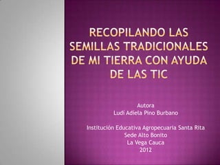 Autora
          Ludí Adíela Pino Burbano

Institución Educativa Agropecuaria Santa Rita
               Sede Alto Bonito
                La Vega Cauca
                     2012
 