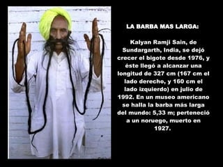 LA BARBA MAS LARGA:   Kalyan Ramji Sain, de Sundargarth, India, se dejó crecer el bigote desde 1976, y éste llegó a alcanzar una longitud de 327 cm (167 cm el lado derecho, y 160 cm el lado izquierdo) en julio de 1992. En un museo americano se halla la barba más larga del mundo: 5,33 m; perteneció a un noruego, muerto en 1927.  