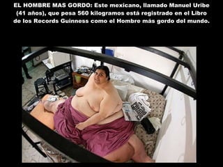 EL HOMBRE MAS GORDO: Este mexicano, llamado Manuel Uribe (41 años), que pesa 560 kilogramos está registrado en el Libro de los Records Guinness como el Hombre más gordo del mundo.  