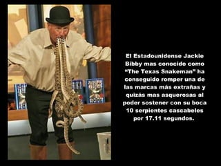 El Estadounidense Jackie Bibby mas conocido como “The Texas Snakeman” ha conseguido romper una de las marcas más extrañas y quizás mas asquerosas al poder sostener con su boca 10 serpientes cascabeles por 17.11 segundos.  