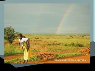 Estação das chuvas - matala 