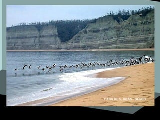 Cabo de s. brás - bengo 
