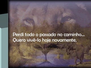 Perdi todo o passado no caminho… Quero vivê-lo hoje novamente, 