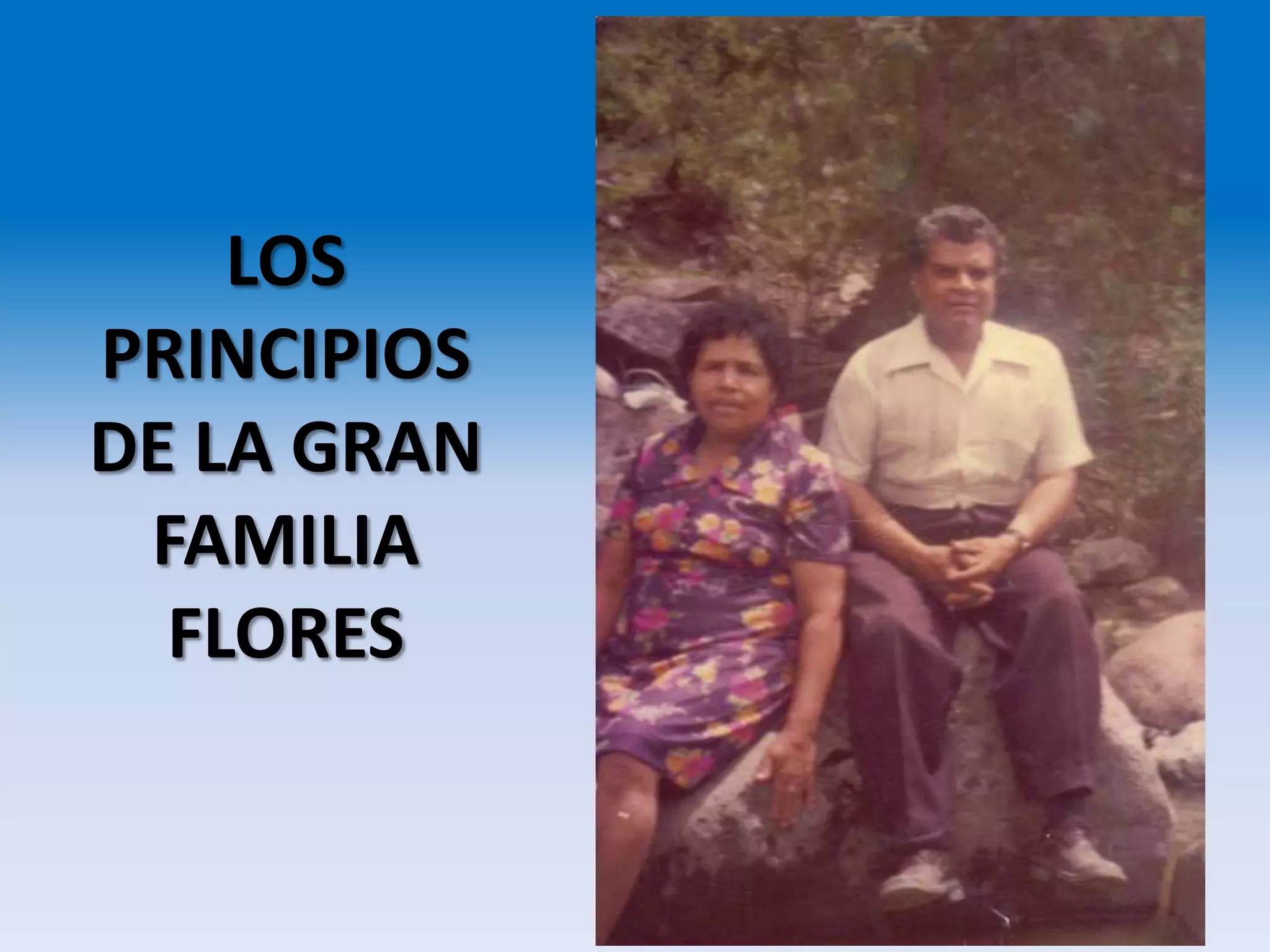 LOS
PRINCIPIOS
DE LA GRAN
FAMILIA
FLORES
 