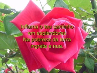 Inflama o teu caminho em esplendores Na pobreza da terra ingrata e nua. 