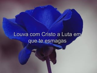 Louva com Cristo a Luta em que te esmagas 