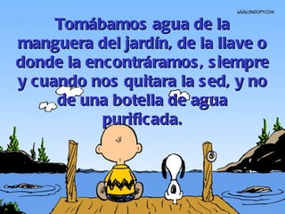 Tomábamos agua de la manguera del jardín, de la llave o donde la encontráramos, siempre y cuando nos quitara la sed, y no de una botella de agua purificada. 