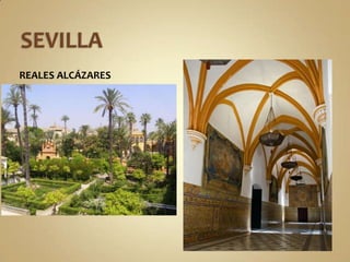 SEVILLAREALES ALCÁZARES
