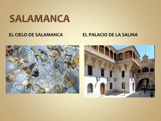 SALAMANCAEl cielo de salamancaEl palacio de la salina