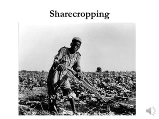 Sharecropping
 