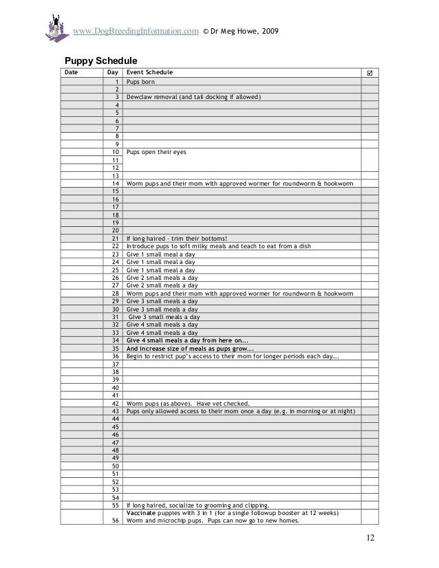 recording essentials for dog success dog labor temperature chart