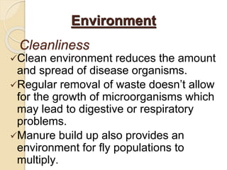 Cleanliness
Clean environment reduces the amount
and spread of disease organisms.
Regular removal of waste doesn’t allow
for the growth of microorganisms which
may lead to digestive or respiratory
problems.
Manure build up also provides an
environment for fly populations to
multiply.
Environment
 