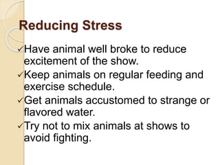 Reducing Stress
Have animal well broke to reduce
excitement of the show.
Keep animals on regular feeding and
exercise schedule.
Get animals accustomed to strange or
flavored water.
Try not to mix animals at shows to
avoid fighting.
 