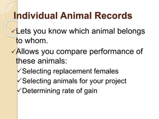 Individual Animal Records
Lets you know which animal belongs
to whom.
Allows you compare performance of
these animals:
Selecting replacement females
Selecting animals for your project
Determining rate of gain
 