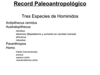 Record Paleoantropológico Tres Especies de Hominidos ,[object Object],[object Object],[object Object],[object Object],[object Object],[object Object],[object Object],[object Object],[object Object],[object Object],[object Object],[object Object]