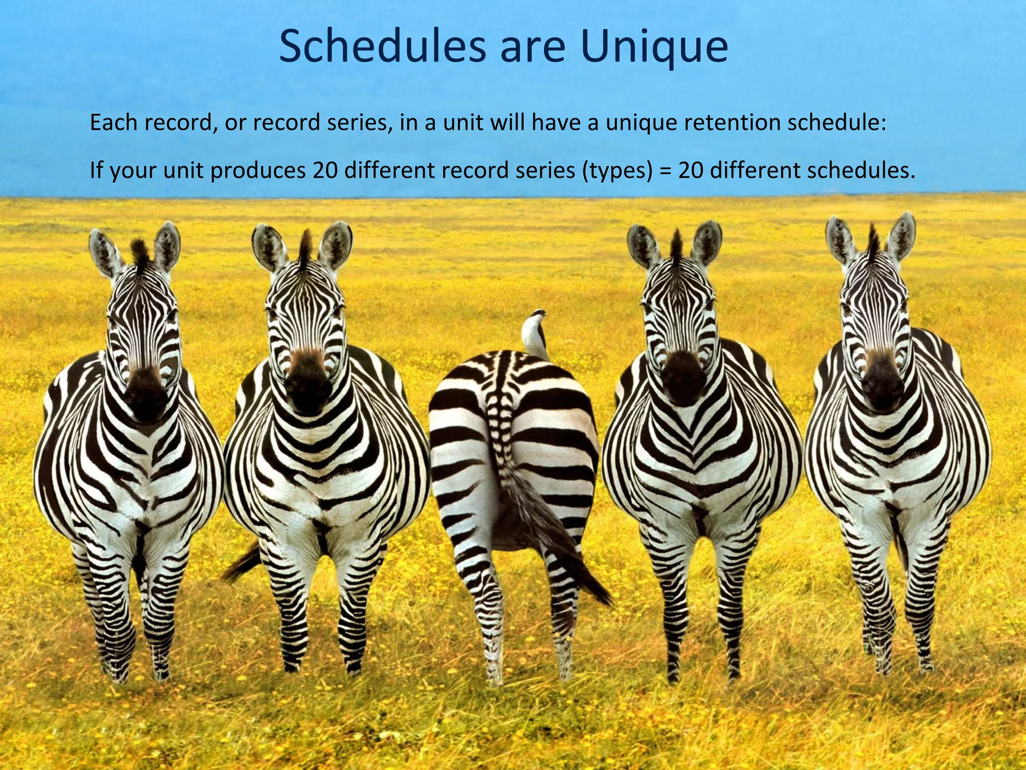 Schedules are Unique
Each record, or record series, in a unit will have a unique retention schedule:
If your unit produces 20 different record series (types) = 20 different schedules.
 