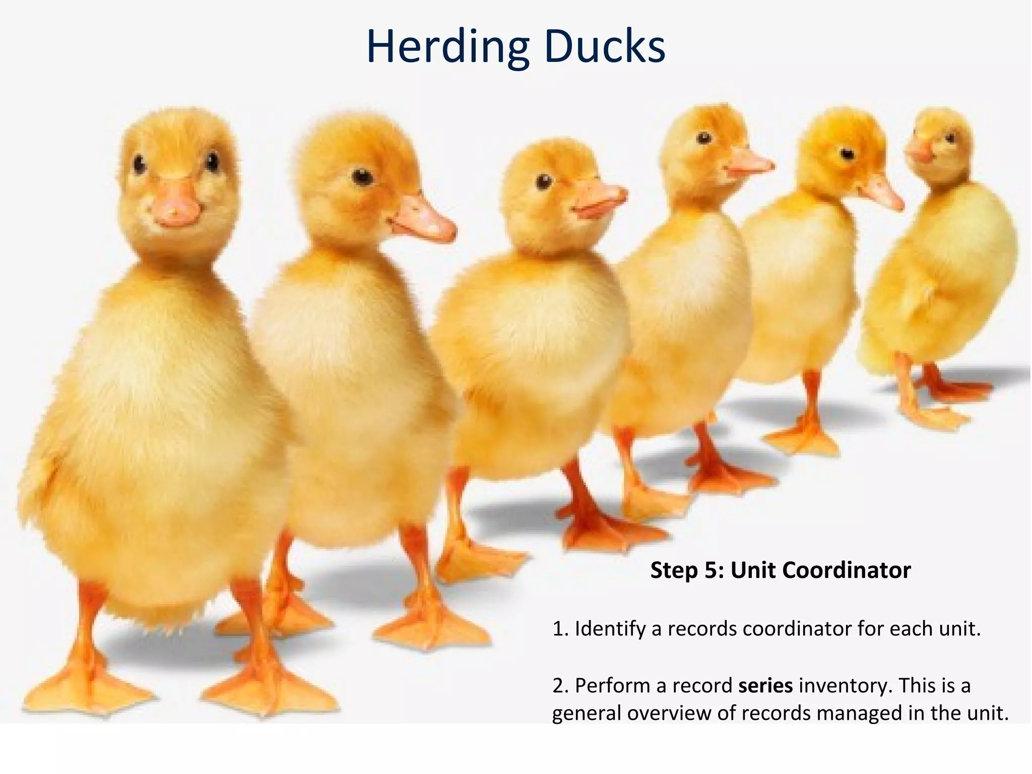 Herding Ducks
Step 5: Unit Coordinator
1. Identify a records coordinator for each unit.
2. Perform a record series inventory. This is a
general overview of records managed in the unit.
 