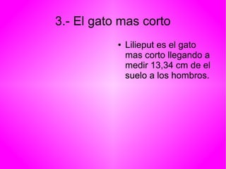 3.- El gato mas corto 
● Lilieput es el gato 
mas corto llegando a 
medir 13,34 cm de el 
suelo a los hombros. 
 