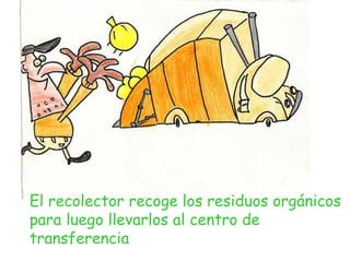 El recolector recoge los residuos orgánicos para luego llevarlos al centro de transferencia 