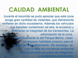 CALIDAD  AMBIENTAL D urante el recorrido se pudo apreciar que esta zona acoge gran cantidad de visitantes, que diariamente infieren en dicho ecosistema. Además los vehículos que transitan contaminan (el aire, la acústica) y amenazan la integridad de los transeúntes. La arborización de la zona,  específicamente la del Parque Berrío, crean  un espacio habitable propicio para el  encuentro y esparcimiento. Sin embargo, se  noto la falta de conciencia ambiental principalmente por parte de indigentes  y vendedores ambulantes . 