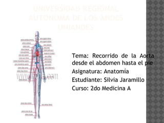 UNIVERSIDAD REGIONAL
AUTÓNOMA DE LOS ANDES
UNIANDES
Tema: Recorrido de la Aorta
desde el abdomen hasta el pie
Asignatura: Anatomía
Estudiante: Silvia Jaramillo
Curso: 2do Medicina A
 