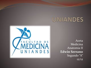 Aorta
Medicina
Anatomia II
Edwin Serrano
Segundo “A”
12/12
 