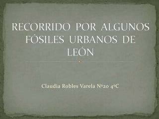 Claudia Robles Varela Nº20 4ºC
 