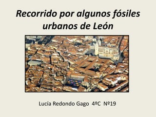 Recorrido por algunos fósiles
urbanos de León
Lucía Redondo Gago 4ºC Nº19
 