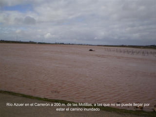 Río Azuer en el Carrerón a 200 m. de las Motillas, a las que no se puede llegar por estar el camino inundado 