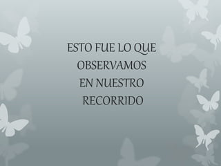 ESTO FUE LO QUE 
OBSERVAMOS 
EN NUESTRO 
RECORRIDO 
 