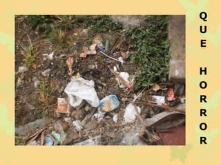 Q 
U 
E 
H 
O 
R 
R 
O 
R 
 