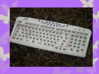 Recorrimos la escuela