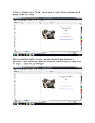 5 Selecciona la herramienta Forma y haz clic sobre la imagen. Observa que aparecen 4
nodos, uno en cada vértice.
6Observa que las orejas han quedado muy cuadradas, por lo cual, selecciona la
herramienta forma nuevamente, haz clic en el medio de uno de los trayectos donde están
las orejas. Te aparecerá un punto negro.