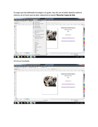 9 Luego que haz delineado la imagen a tu gusto, haz clic con el botón derecho sobre la
misma y en el menú que se abre, selecciona la opción Recortar mapa de bits.
10 mira el resultado