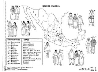 A.- Tarahumaras Chihuahua
B•- Coras Jalisco y Nayarit
C •- Huicholes Jalisco y Nayarit
D •- Seris . Sonora
E•- Mayos Sonora y Sinaloa
F .- Otomfes Hgo. Gto. Qro. Tlax. Pue.
G.- Nahuas Hgo. Pue. Tlax. Mor. S.L.P.
H.- Huastecos Tamps. S.L.P.Ver. Qro.
I .- Totonacas Puebla, Veracruz, Hgo.
J .- Tarascos Michoacan
K •- Mixtecos Oaxaca, Guerrero, Puebla.
L .- Zapotecos Oaxaca, Chiapas
M.- Tzotziles Chiapas
I N.- Lacandones Chiapas
@ 1.IihIRbll ilonl Losgrupos etnlcal en
dO ~ Lm r 10octuolidod
Bim. 1
Sam. 8
Ficha 60
 