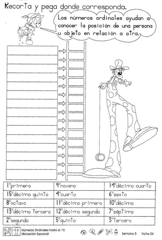 I<ecorTa y pego donde cor res onda.
Los nurneros ordinales ayudan a
conocer la posiciOn de una persona
U objeto en re Iac ion a 0 tro.
1--- __ ~=4> 1 1
1--- __ ---1=4> 1==11---- 1=4> 1-'
1-- 1=4> 1=·=1
1--- 1=4> 1==1
1------1::1--.1
~--I~I~_I
1---- 1=4> 1==1
1 ~=4> 1==1
1---- 1=4> 1==1
1 ----l=4> 1==1
1--- 1=4> 1==1
1 ----1=4> 1==1
1---- ,=4> 1-'S>
10primero 9°noveno 11°decimo cuarto
15°decimo 9uinto 1°cuarto 6°sexto
8°octavo I10decimo primero IOodecimo
13°decimo tercero 12°decinno segundo 7°septimo
2°segundo 5°9uinto 3°tercero
1@~llcQ, INumeros Ordinales hasta el 15
@ ) JA Ubicaci6n Espacial @> ~Q ~ ~ ~ Semana 5 Ficha 24
 