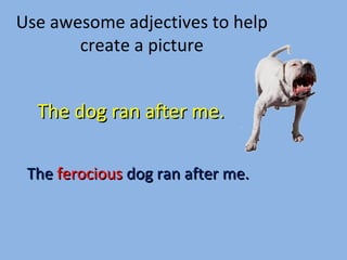 Use awesome adjectives to help create a picture The dog ran after me. The  ferocious  dog ran after me. 