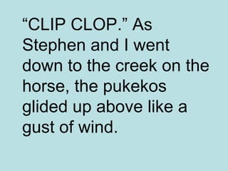 “ CLIP CLOP.” As Stephen and I went down to the creek on the horse, the pukekos glided up above like a gust of wind. 