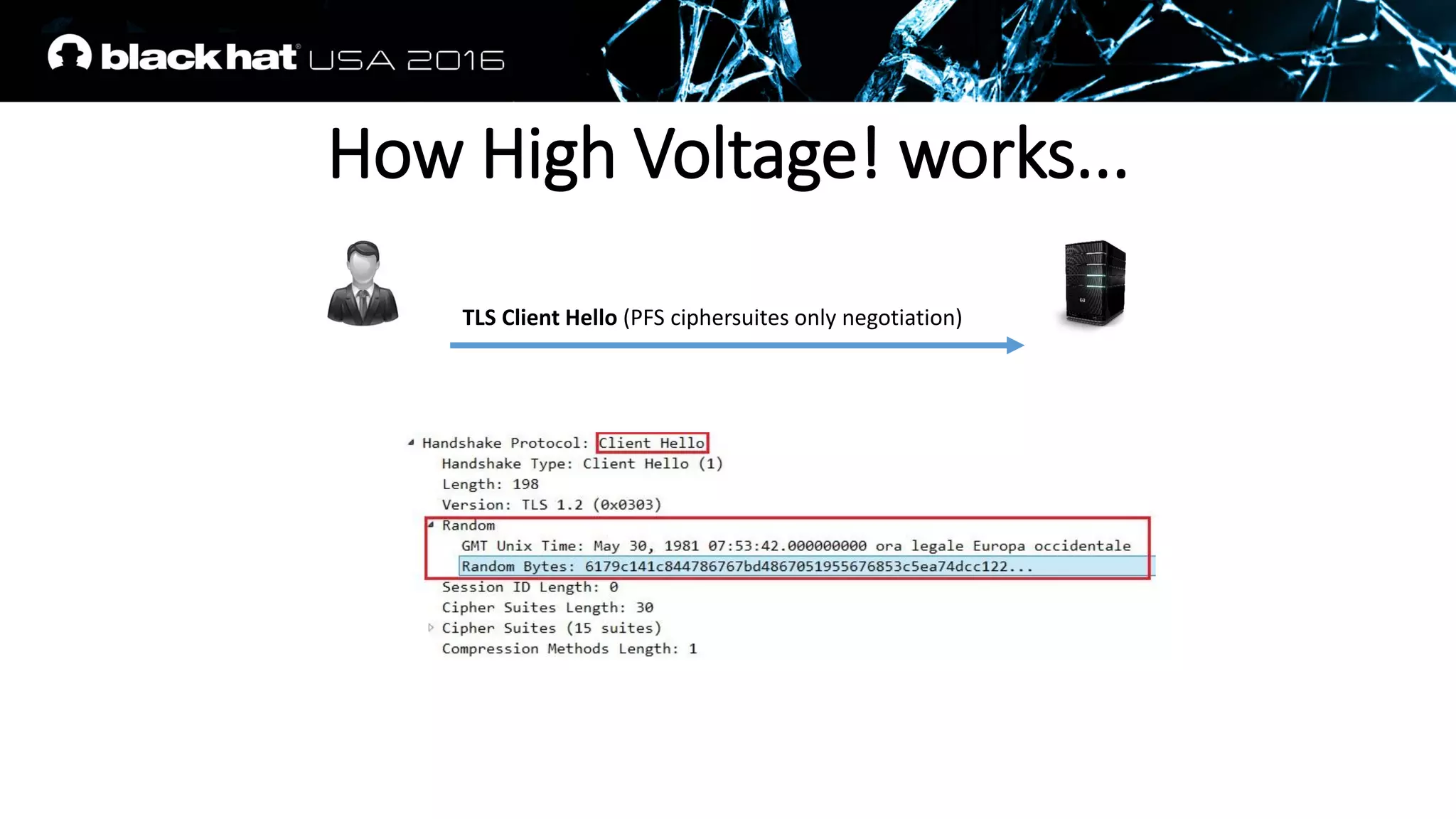 TLS Client Hello (PFS ciphersuites only negotiation)
How High Voltage! works...
 