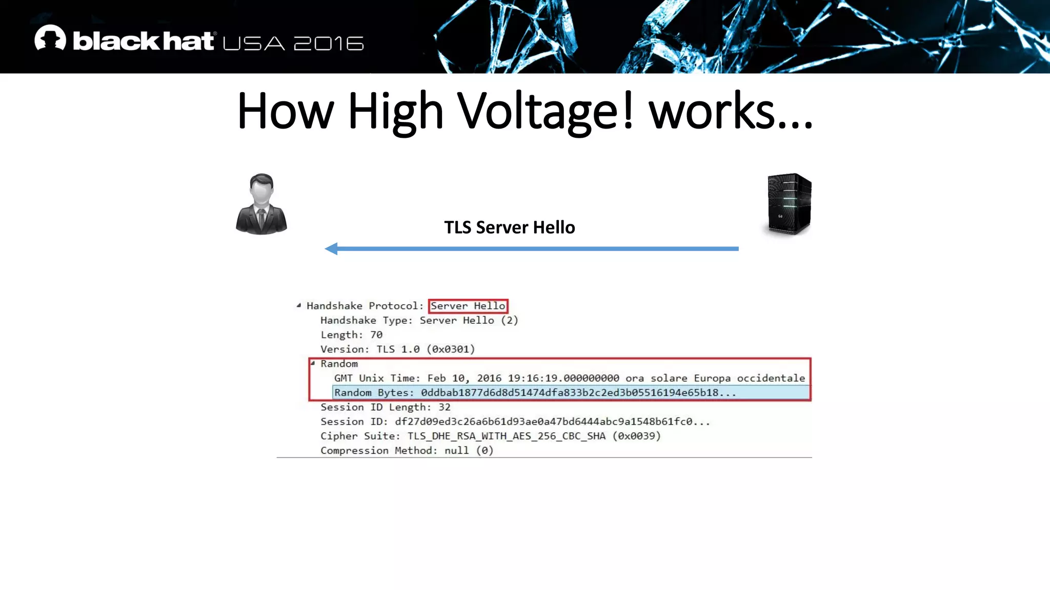 TLS Server Hello
How High Voltage! works...
 