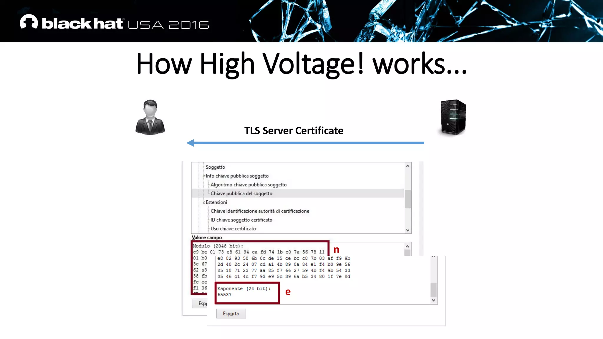 TLS Server Certificate
n
e
How High Voltage! works...
 